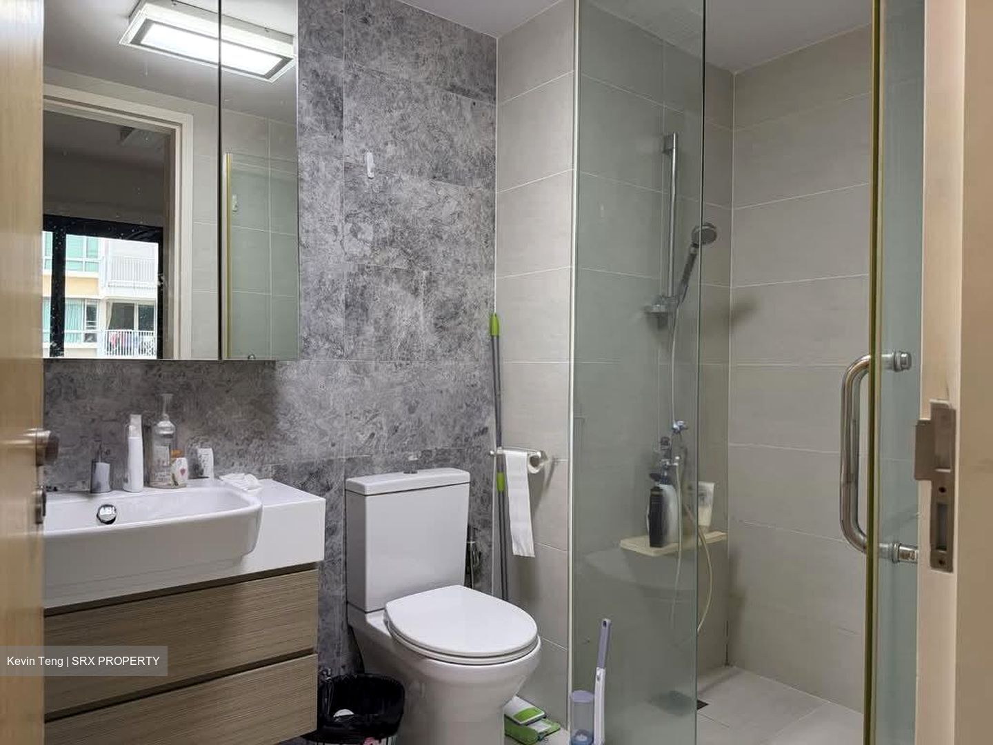 The Lakefront Residences (D22), Condominium #556216481
